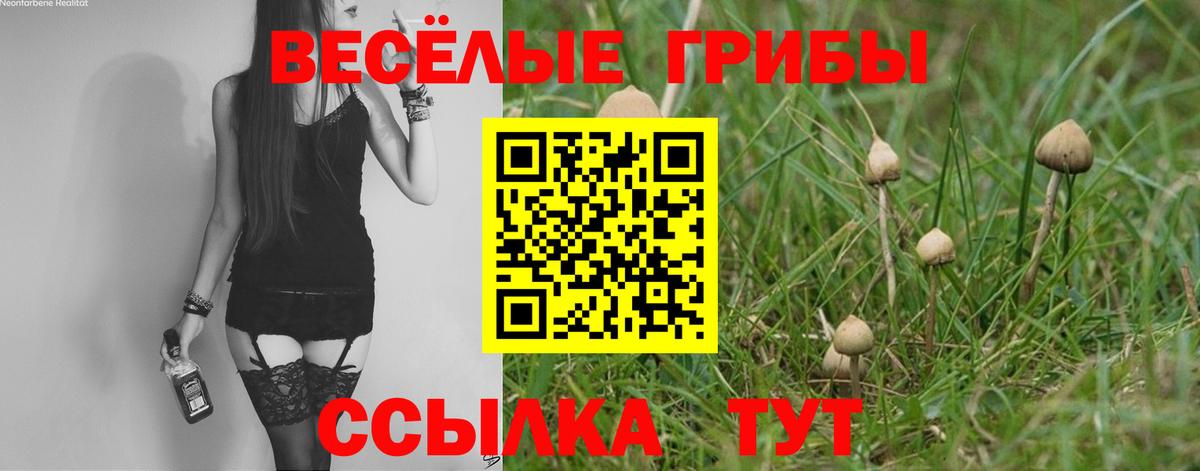 Истра  закладки  Псилоцибиновые грибы Magic Shrooms  Вход с VPN  Псилоцибиновые грибы Magic Shrooms 