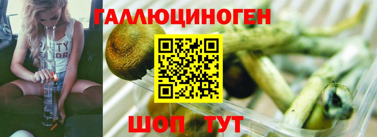 Галлюциногенные грибы прущие грибы Истра